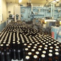 Bottles coming out of the Stevens Point Brewery's pasturizer machine ready to get labeled and packaged.